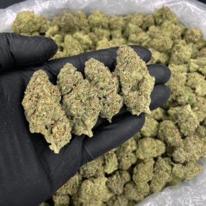 Russian Cream strain flower (26% THC) from Exotic Blooms with Washington DC weed delivery and Northern Virginia cannabis delivery