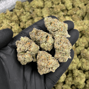 Space Burger Indica Hybrid | High-THC Flower | Washington DC Cannabis Delivery