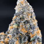 Close-up of Wookie Dawg cannabis buds showing heavy trichome coverage, Exotic Blooms Washington DC and Northern Virginia.