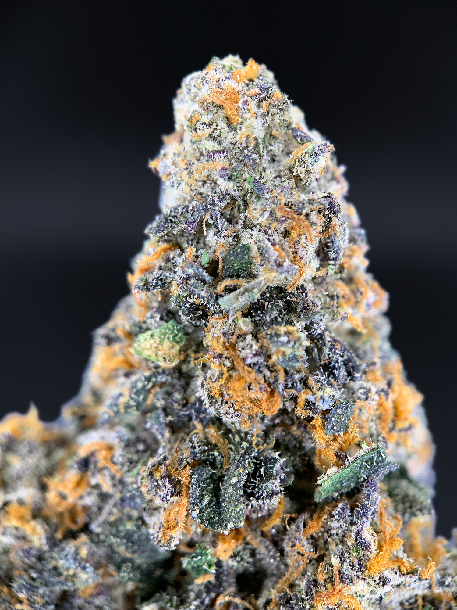 Close-up of Wookie Dawg cannabis buds showing heavy trichome coverage, Exotic Blooms Washington DC and Northern Virginia.