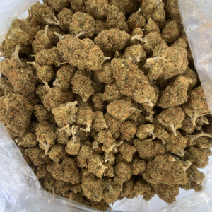 Gelatti 50 50 hybrid cannabis flower available at Exotic Blooms for delivery in Washington DC Northern Virginia and Richmond VA