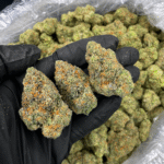 Icelato indica dominant hybrid strain 24-28% THC by Exotic Blooms available for Washington DC and Northern Virginia weed delivery