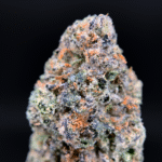 Icelato indica dominant hybrid strain 24-28% THC by Exotic Blooms available for Washington DC and Northern Virginia weed delivery