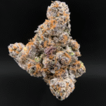 Jungle Juice strain by Wizard Trees, high-THC hybrid cannabis flower with dense trichome coverage and vibrant buds