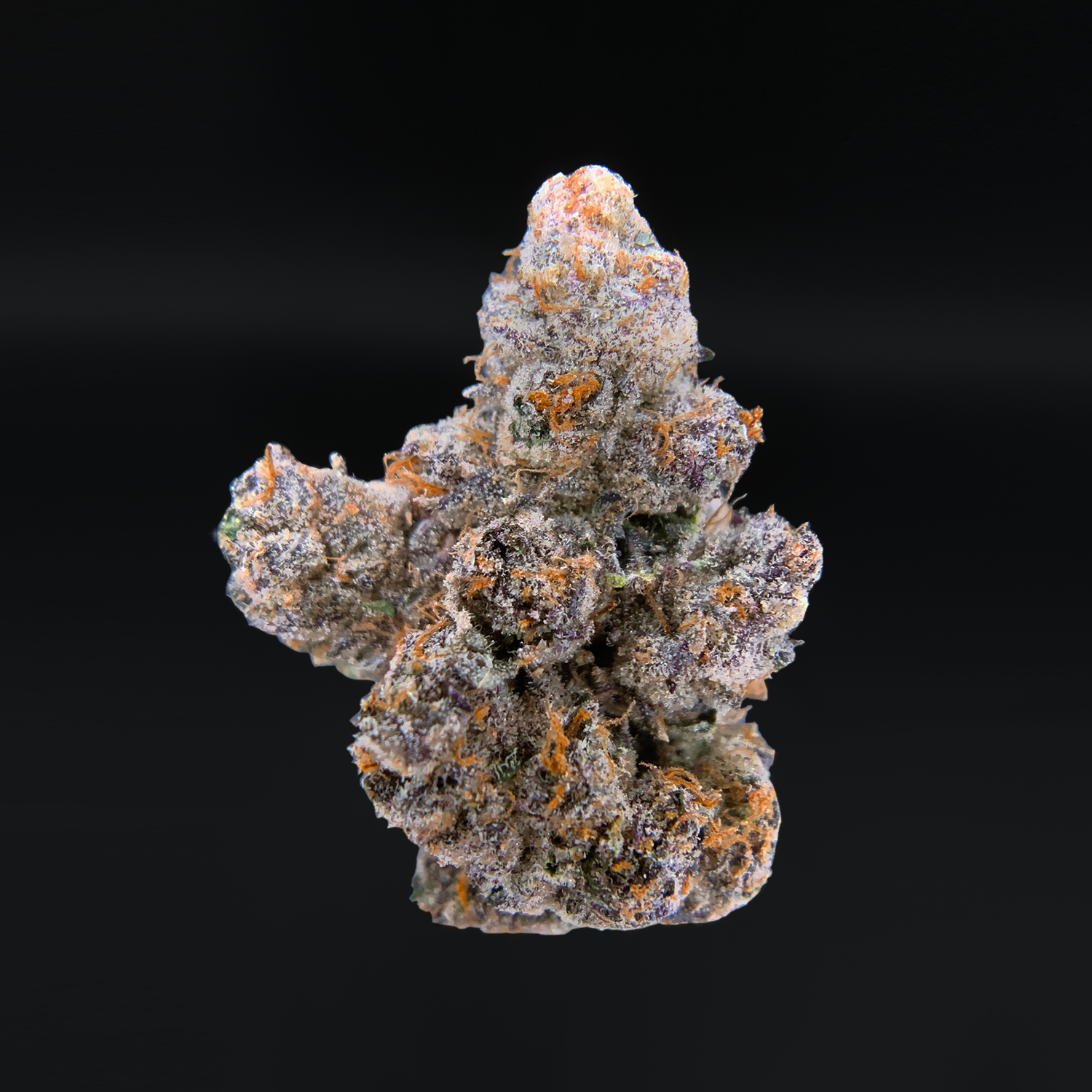 Jungle Juice strain by Wizard Trees, high-THC hybrid cannabis flower with dense trichome coverage and vibrant buds