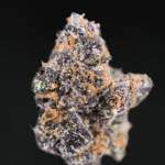 Jungle Juice strain by Wizard Trees, high-THC hybrid cannabis flower with dense trichome coverage and vibrant buds
