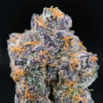 Jungle Juice strain by Wizard Trees, high-THC hybrid cannabis flower with dense trichome coverage and vibrant buds