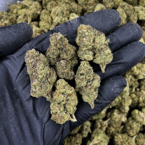 Kandy Krush hybrid cannabis flower 23-26% THC available for delivery in Washington DC, Virginia, Maryland, and Richmond VA