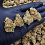 LA Kush Cake indica-dominant hybrid 29–32% THC available for Washington DC, Virginia, Maryland, and Richmond VA weed delivery