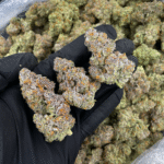 Pineapple Slushie indica dominant hybrid 28 to 30 percent THC purple frosted cannabis flower available for Washington DC Northern Virginia Maryland Richmond and Virginia Beach weed delivery