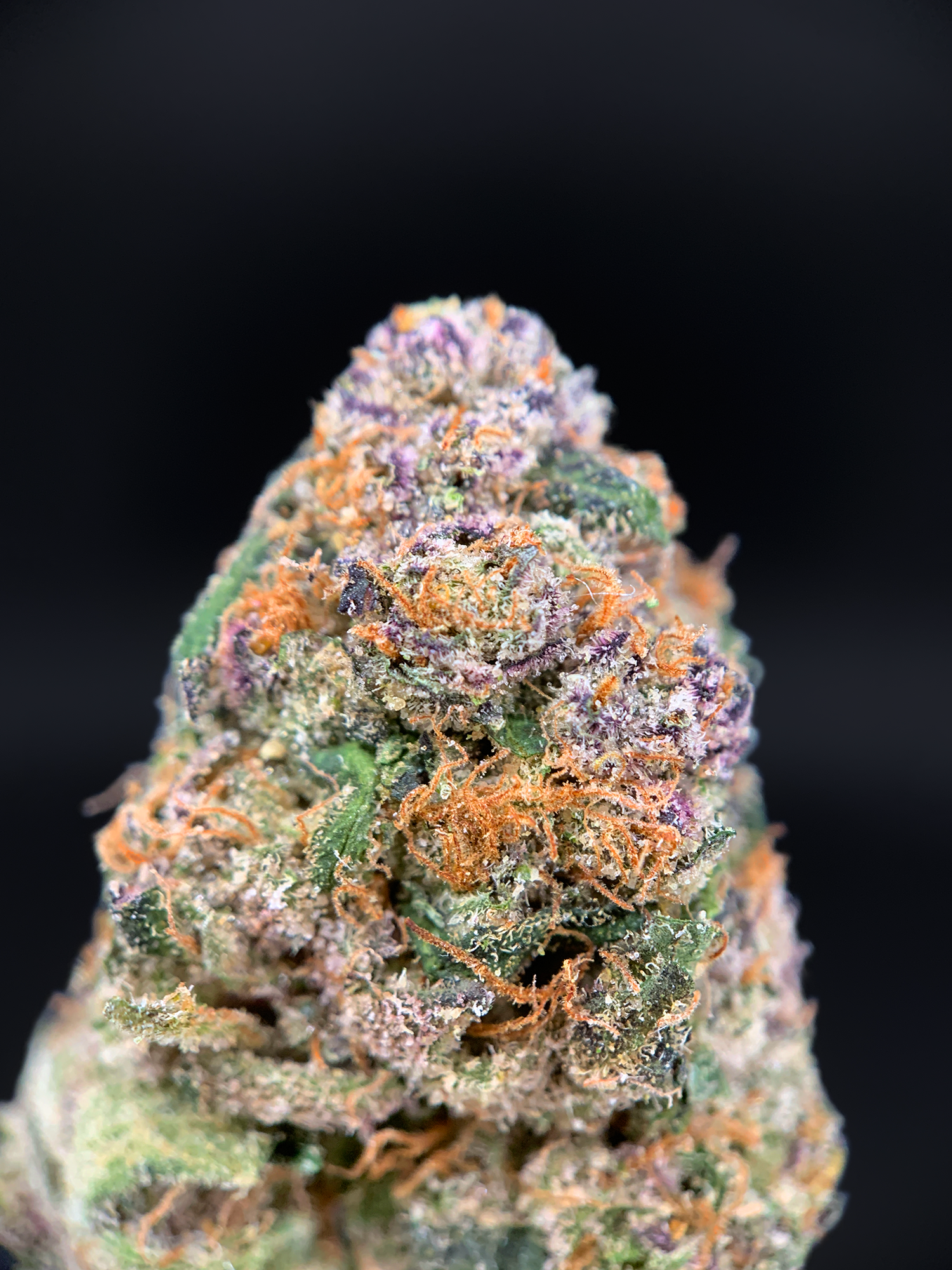 Pink Acai hybrid cannabis strain with purple frosty buds available for Washington DC and Virginia cannabis delivery