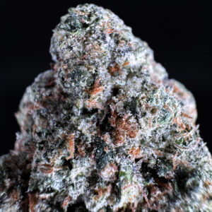 Sherbacio hybrid strain 29-31% THC by Exotic Blooms available in Washington DC, Virginia, Maryland, and Richmond VA