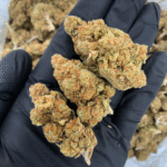 Strawberry Glue indica dominant hybrid cannabis flower available at Exotic Blooms for delivery in Washington DC Northern Virginia and Richmond VA