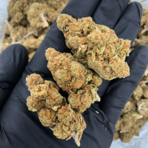 Strawberry Glue indica dominant hybrid cannabis flower available at Exotic Blooms for delivery in Washington DC Northern Virginia and Richmond VA