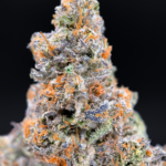 BluZangria by Maven Genetics 30%+ THC sativa flower available at Exotic Blooms Washington DC weed delivery