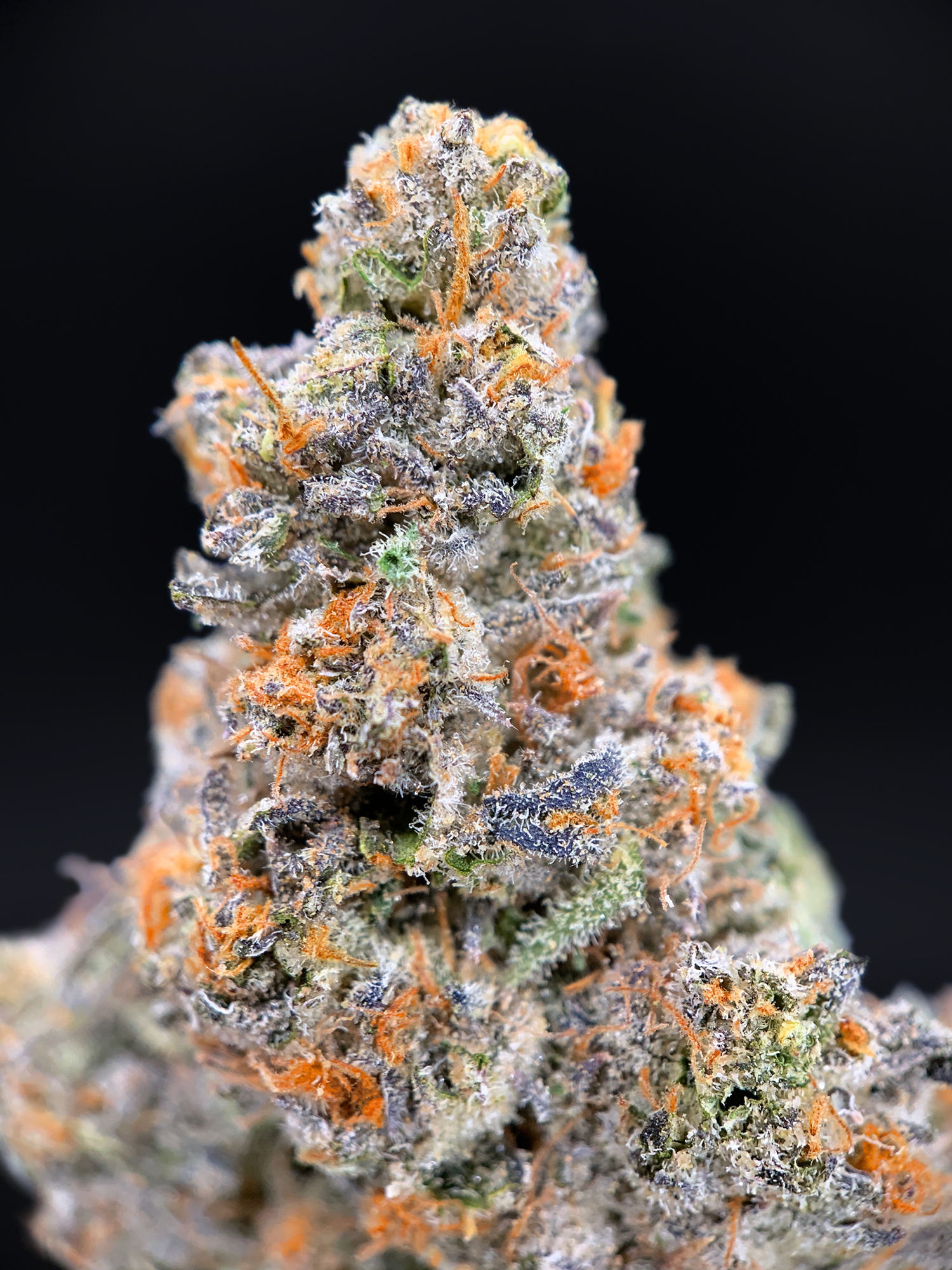 BluZangria by Maven Genetics 30%+ THC sativa flower available at Exotic Blooms Washington DC weed delivery