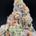 BluZangria by Maven Genetics 30%+ THC sativa flower available at Exotic Blooms Washington DC weed delivery