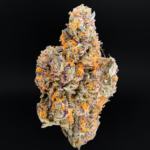 Dulce de Miel cannabis strain by Maven Genetics with purple buds and orange hairs available at Exotic Blooms Washington DC weed delivery