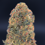 Gelato OG balanced hybrid cannabis strain available through Exotic Blooms Washington DC weed delivery