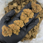 Gelato Runtz hybrid cannabis strain available through Exotic Blooms Washington DC weed delivery flash deal