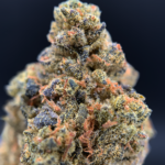 Gelato Runtz hybrid cannabis strain available through Exotic Blooms Washington DC weed delivery flash deal