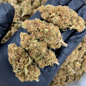 Hawaiian Punch sativa leaning hybrid flash oz deal available through Exotic Blooms Washington DC weed delivery