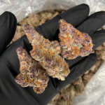 Lemon Cherry Tropicana by Maven Genetics tropical sativa flower 30%+ THC available from Exotic Blooms Washington DC weed delivery