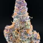 Lemon Cherry Tropicana by Maven Genetics tropical sativa flower 30%+ THC available from Exotic Blooms Washington DC weed delivery