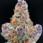 Lemon Cherry Tropicana by Maven Genetics tropical sativa flower 30%+ THC available from Exotic Blooms Washington DC weed delivery