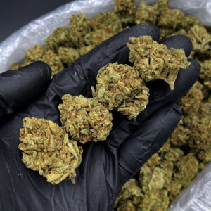 Lemon Skunk sativa hybrid cannabis strain with 22–26% THC available for weed delivery in Washington DC Virginia Maryland Richmond VA