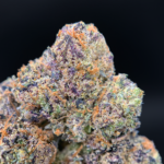 Purple Pop Rocks indica dominant cannabis strain with purple frosty buds available at Exotic Blooms Washington DC weed delivery