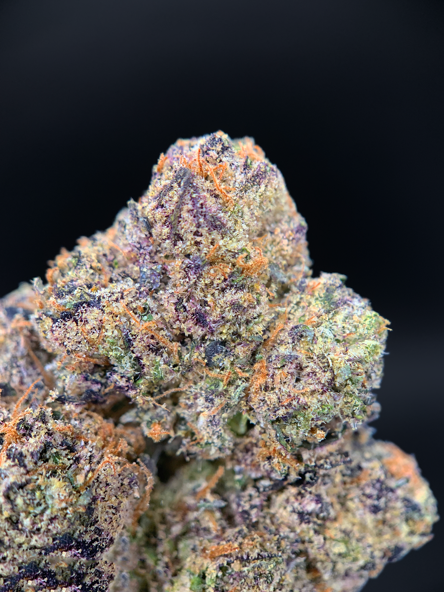Purple Pop Rocks indica dominant cannabis strain with purple frosty buds available at Exotic Blooms Washington DC weed delivery