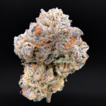 Shangri-La Opal x Paradiso #11 by Maven Genetics premium 30% THC hybrid flower available at Exotic Blooms Washington DC weed delivery