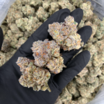 Shangri-La Opal x Paradiso #11 by Maven Genetics premium 30% THC hybrid flower available at Exotic Blooms Washington DC weed delivery