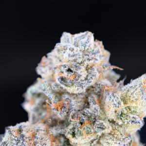 Shangri-La Opal x Paradiso #11 by Maven Genetics premium 30% THC hybrid flower available at Exotic Blooms Washington DC weed delivery