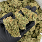 Strawberry Sour Diesel sativa dominant cannabis strain available at Exotic Blooms Washington DC weed delivery