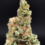 Strawberry Sour Diesel sativa dominant cannabis strain available at Exotic Blooms Washington DC weed delivery
