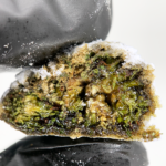 THCa Snowball Moon Rocks coated in THC powder for Washington DC and Northern Virginia cannabis delivery