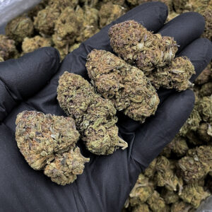 Thin Mint hybrid cannabis strain 24–28% THC available for weed delivery in Washington DC Virginia Maryland Richmond VA