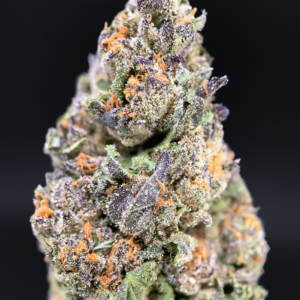 Velato hybrid cannabis flower Gelato 33 VS1 genetics available at Exotic Blooms Washington DC delivery