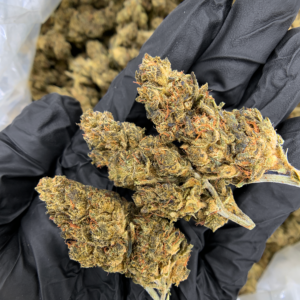 Watermelon Gas indica dominant hybrid cannabis strain available through Exotic Blooms Washington DC weed delivery