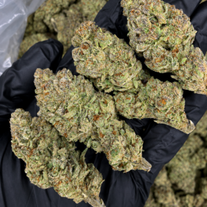 Durban Poison pure sativa flower with resinous green buds available for Northern Virginia, Richmond and Virginia Beach weed delivery