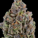 Durban Poison pure sativa flower with resinous green buds available for Northern Virginia, Richmond and Virginia Beach weed delivery