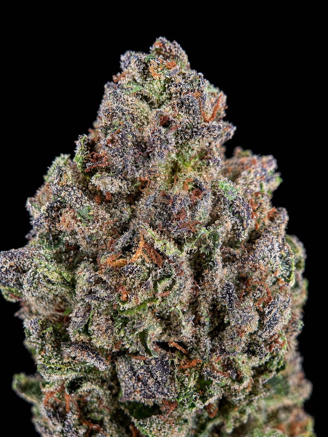 Durban Poison pure sativa flower with resinous green buds available for Northern Virginia, Richmond and Virginia Beach weed delivery