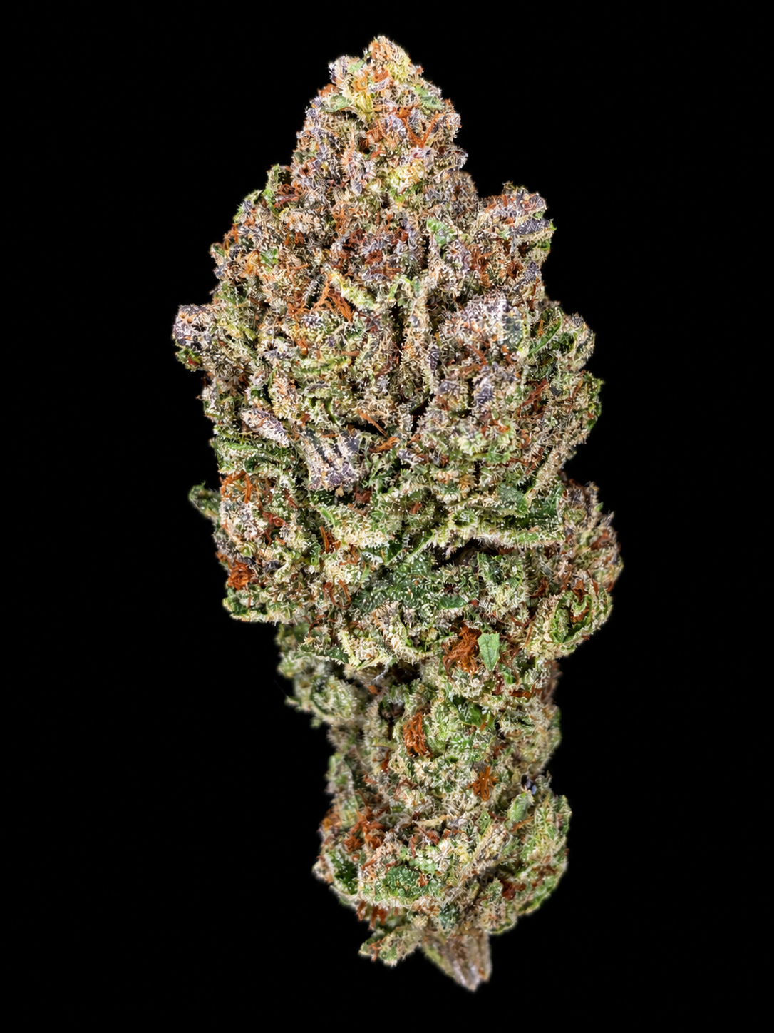 Durban Poison pure sativa flower with resinous green buds available for Northern Virginia, Richmond and Virginia Beach weed delivery