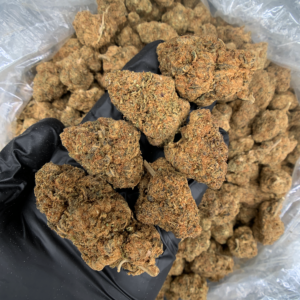 Frosted Kush aged cannabis strain available at Exotic Blooms Washington DC weed delivery