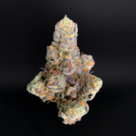 Lipstain cannabis strain by Maven Genetics with purple buds available at Exotic Blooms Washington DC weed delivery