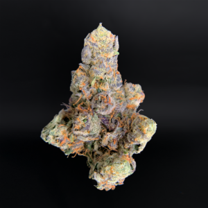 Lipstain cannabis strain by Maven Genetics with purple buds available at Exotic Blooms Washington DC weed delivery