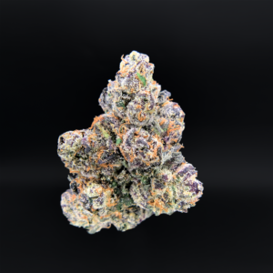 Lipstain cannabis strain by Maven Genetics with purple buds available at Exotic Blooms Washington DC weed delivery