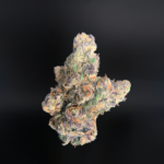 Lipstain cannabis strain by Maven Genetics with purple buds available at Exotic Blooms Washington DC weed delivery